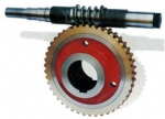 worm gear