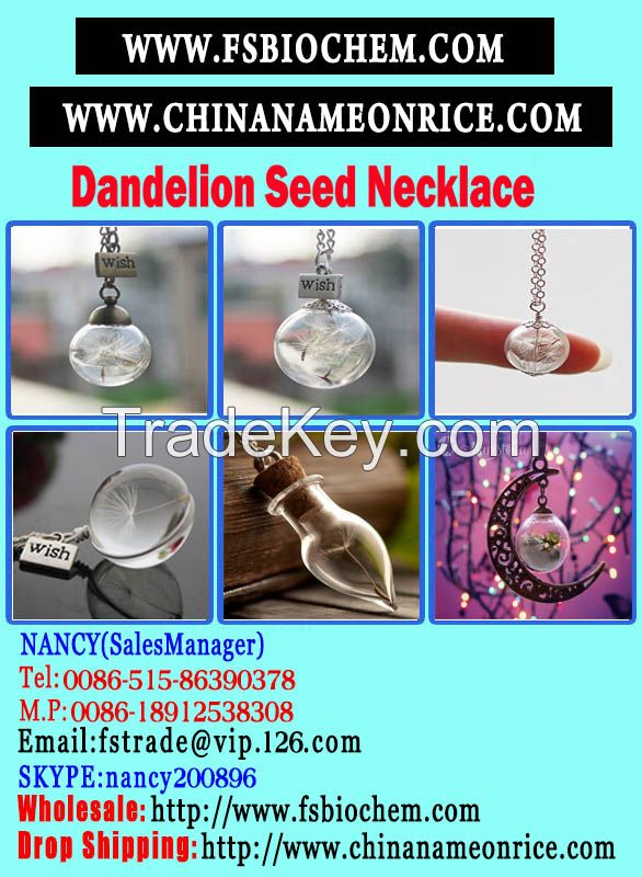 Make a Wish Good Luck Charm, Real Dandelion Glass Pendant, Make a Wish Glass Bead Necklace,