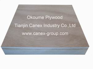 Okoume Plywood