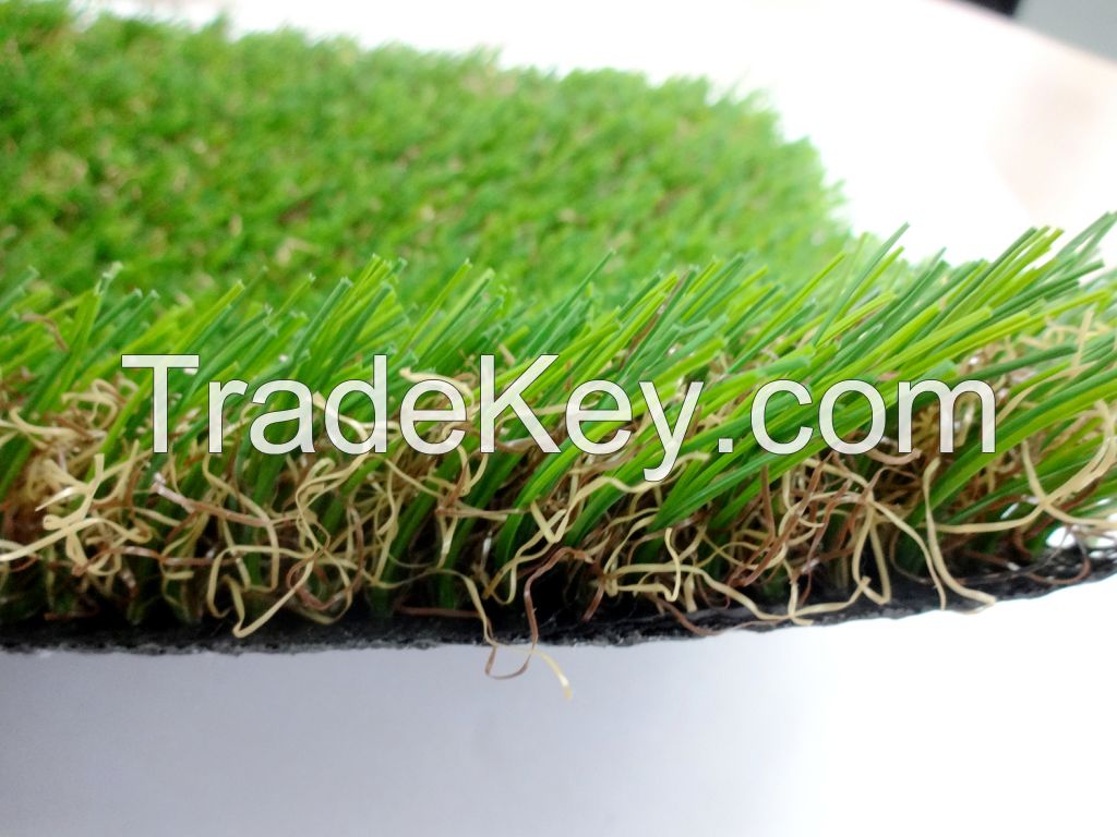 Sports Field Grass