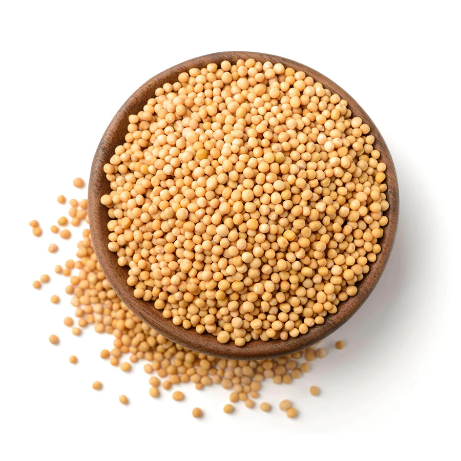 Top Grade Yellow Mustard Seeds