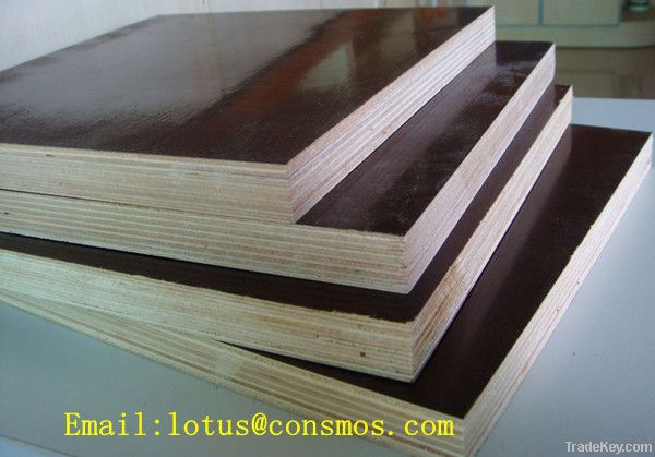 Black Film Faced Plywood, shuttering plywood, laminated plywood