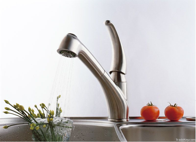 Stainless Steel Pull Out Kitchen Faucet