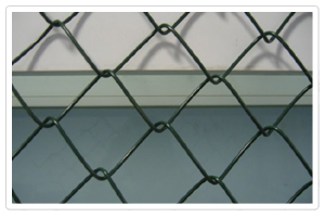 Chain  Link Fence