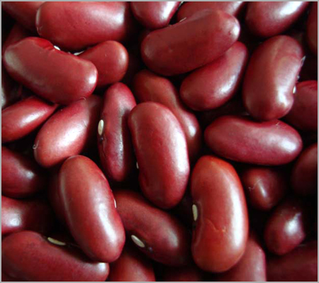 Red kidney bean