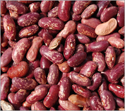 purple speckled kidney bean