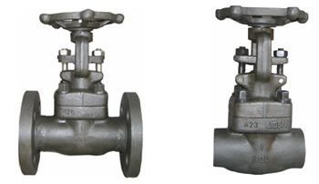 Forged Steel Valve