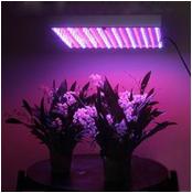 13W LED grow light