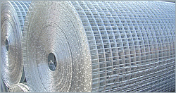 Welded Wire Mesh