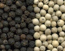 BLACK PEPPER BEST PRICE VIETNAM ORIGIN