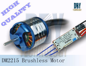 Brushless Motor