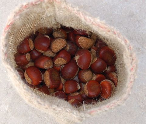 Fresh Chestnut &amp; Frozen Chestnut