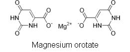 Magnesium Orotate