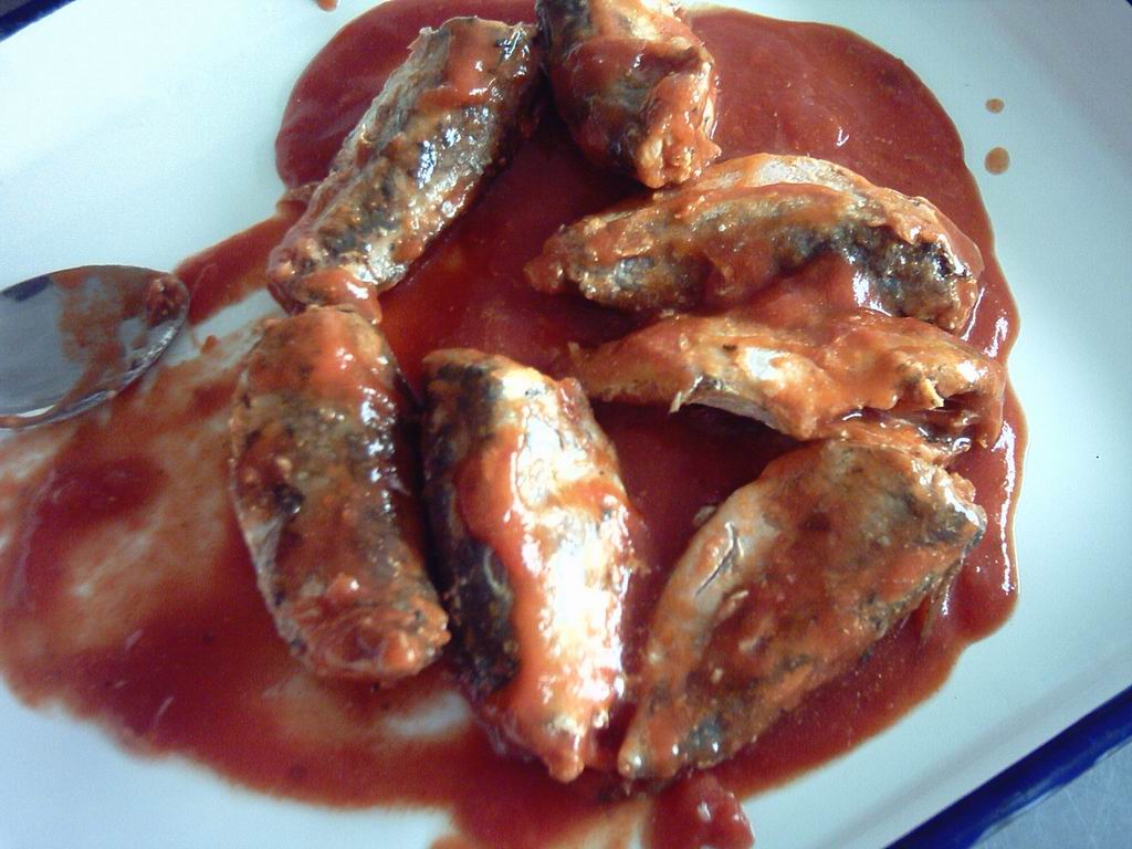 canned mackerel in tomato sauce