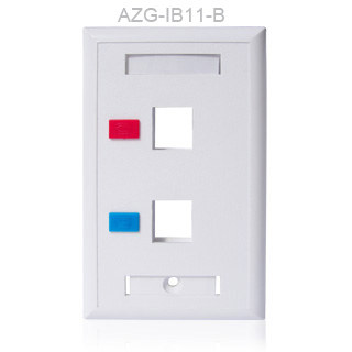 2 port face plate (AZG-IB005B)