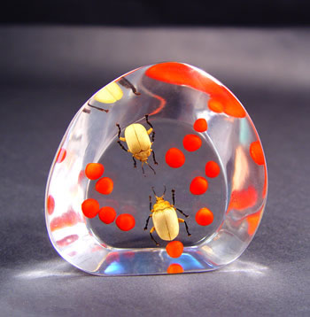 Man-made amber jewelry - Desk decoration