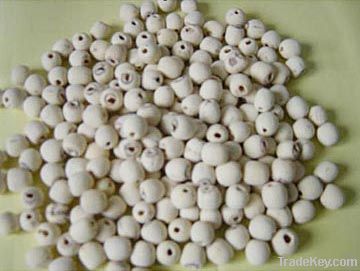 Pumpkin Seeds | Lotus Seeds | Poppy Seeds