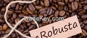 Robusta Coffee Beans