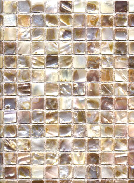 Shell Mosaic001