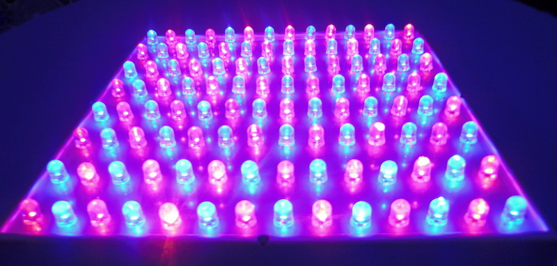 LED Grow Light