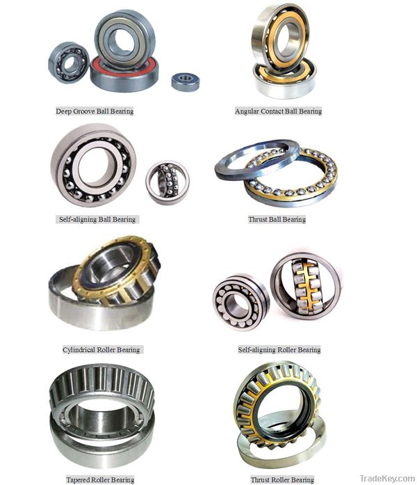 Ball Bearing and Roller Bearing