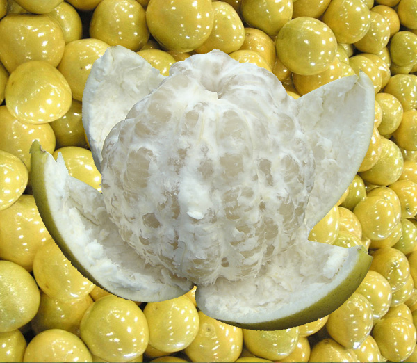 Pomelo fruit