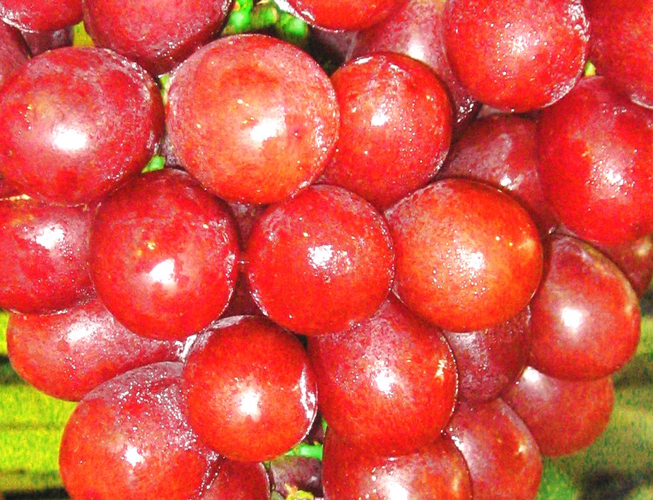 Fresh Grapes