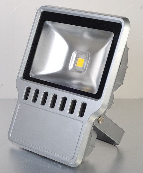 LED Flood Light