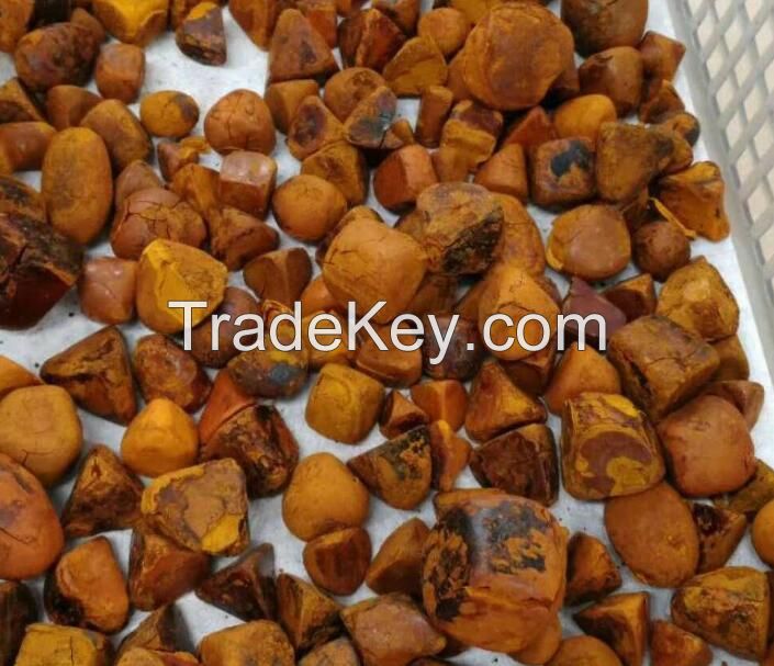 Ox gallstones, ox cow gallstones, Cow Gallstones, natural dried Ox,Cow, Cattle , Bile Gallstone, Bezoar, Calculas Bovis, Niu Huang