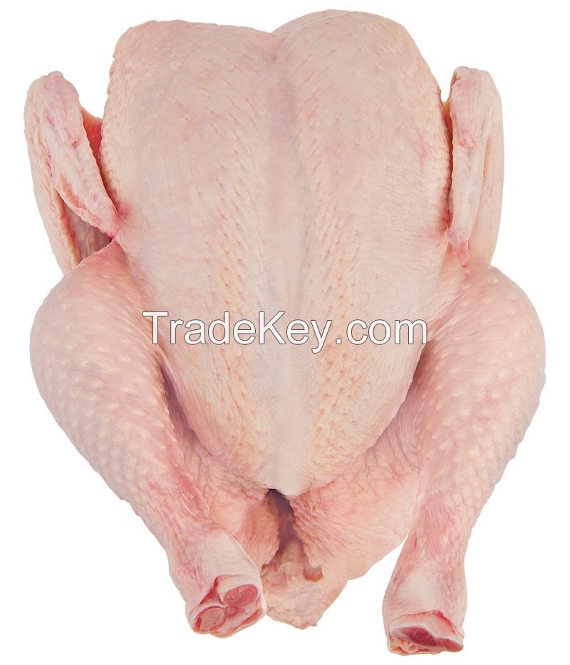 Processed Halal Certified Frozen Whole Chicken