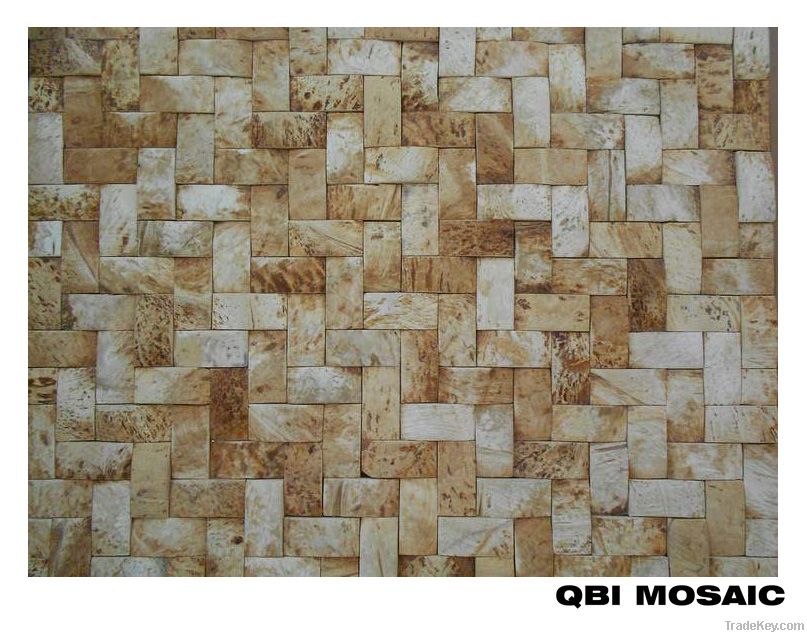 Coconut Shell Mosaics