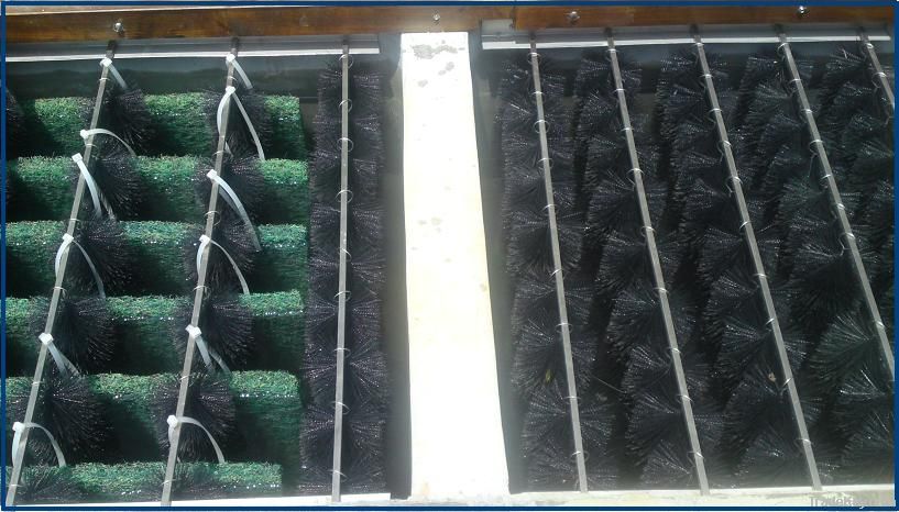 Filter Brush for Pond and Aquarium