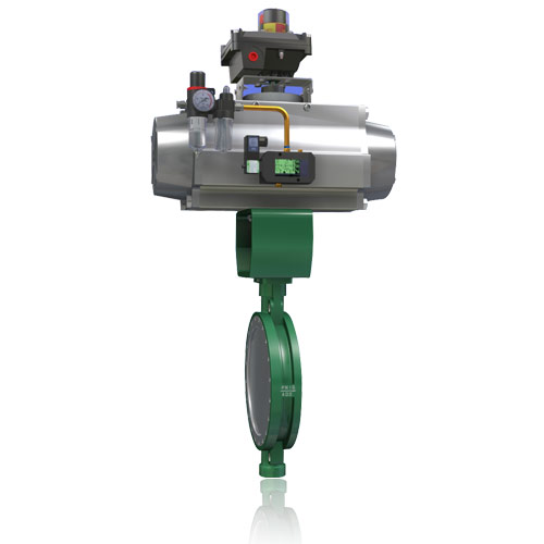 Butterfly Valve