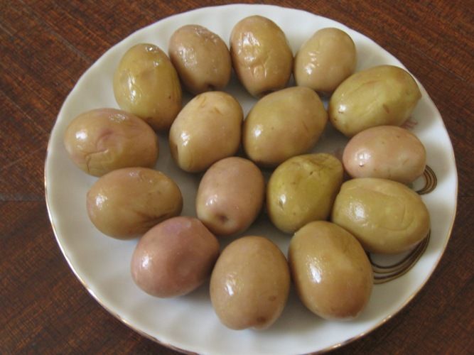 natural green olive 