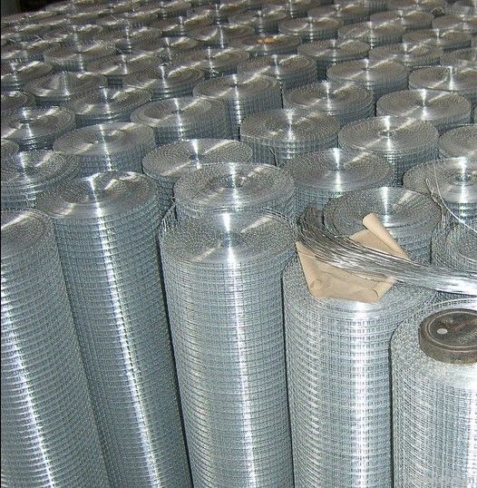 Welded Wire Mesh