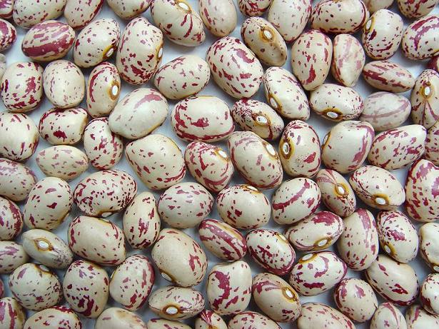 Speckled Kidney Beans