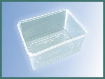 Disposable Food Container