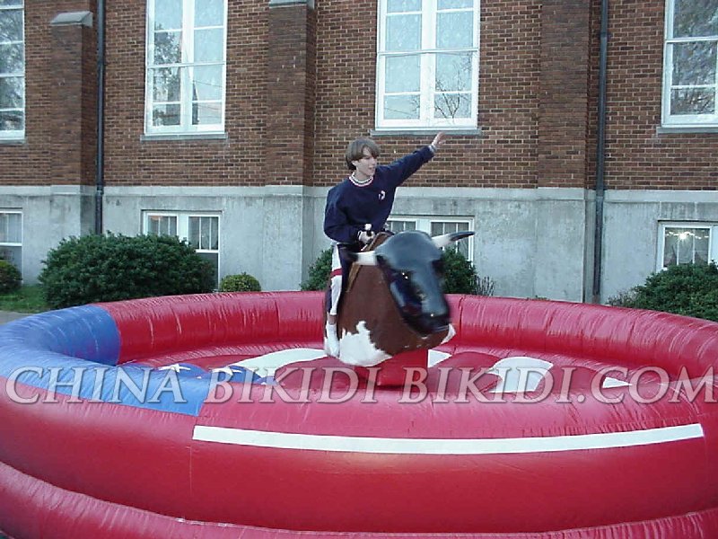 Surfboard Rodeo Ride Bull