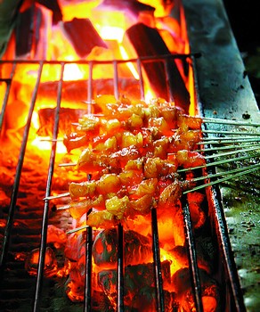 Barbecue Skewer