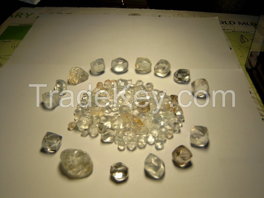 Rough Diamonds And Polish Diamonds for sell