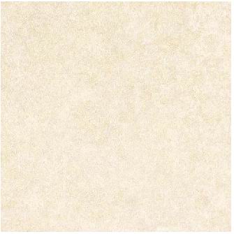 Rustic Tile