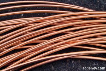 Copper Wire Rod