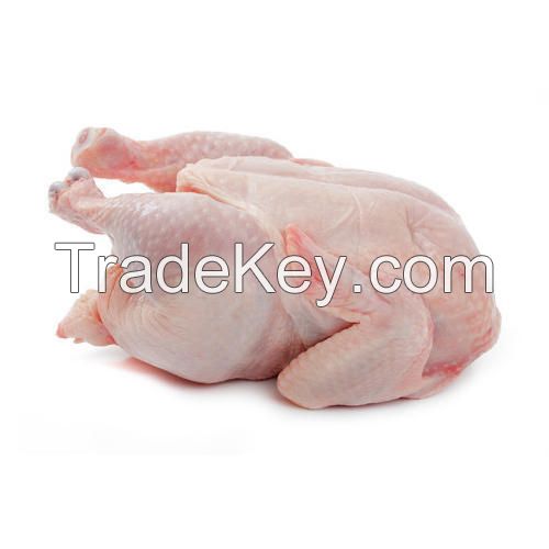 Halal Frozen Chicken Drumsticks