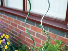 High quality-Spiral Plant Stakes from Hebei