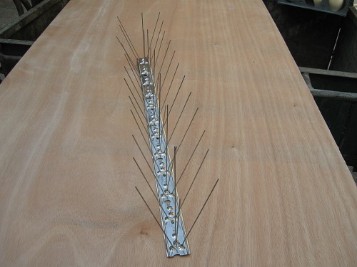 Stainless steel bird spikes