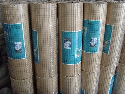 Welded Wire Mesh (fence mesh)