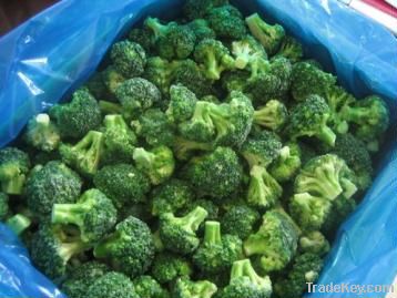 IQF Broccoli