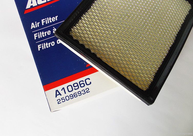 A1096C 25096932 Air filter for Buick