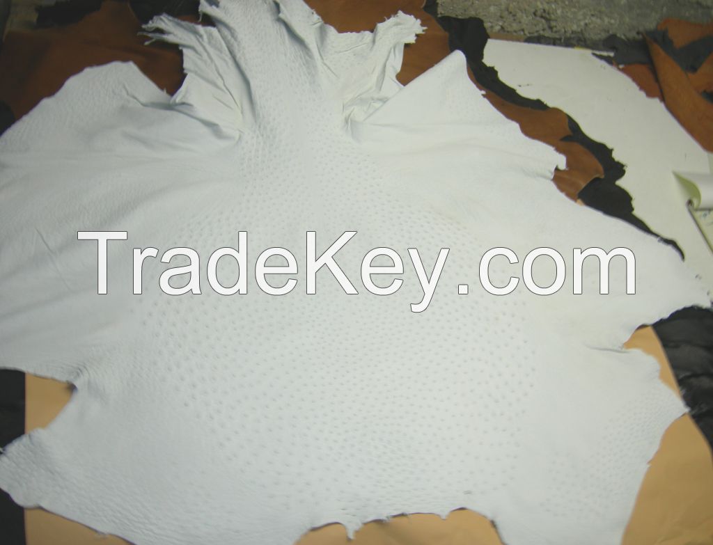 Genuine Ostrich Skin Leather - White Crust / Finished