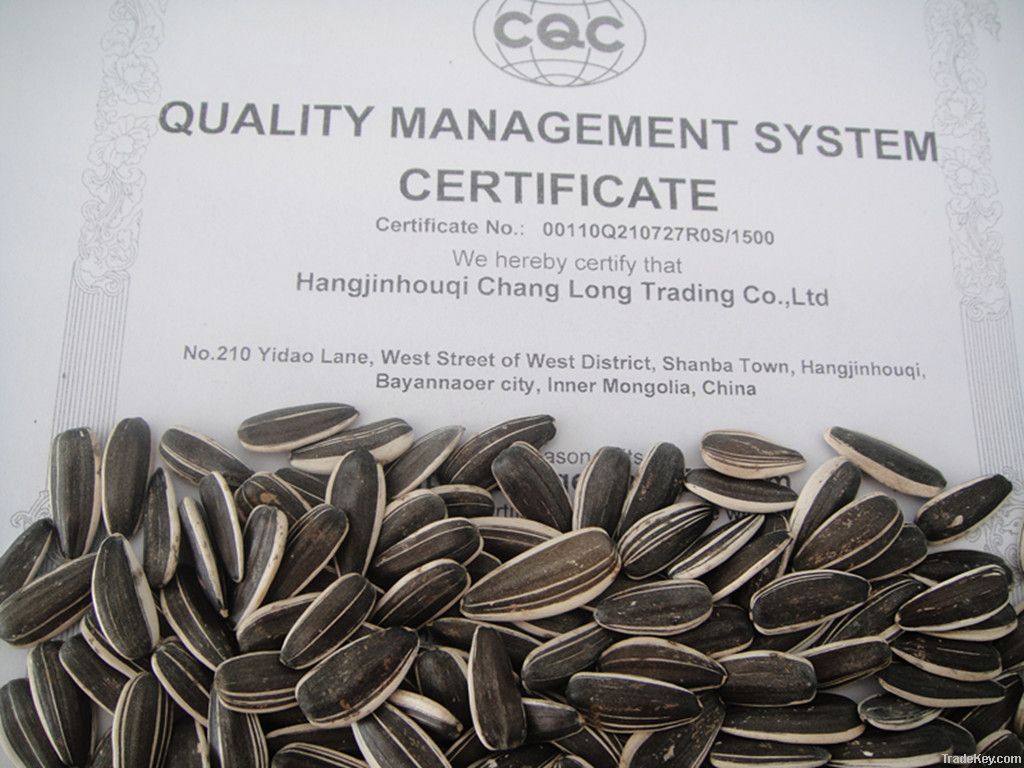 new black long sunflower seeds 22/64 24/64